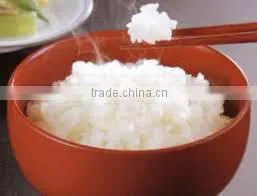 MEDIUM ROUND WHITE RICE 5% BROKEN - CURRENT RICE_CHEAPEST PRICE_THE BEST QUALITY RICE