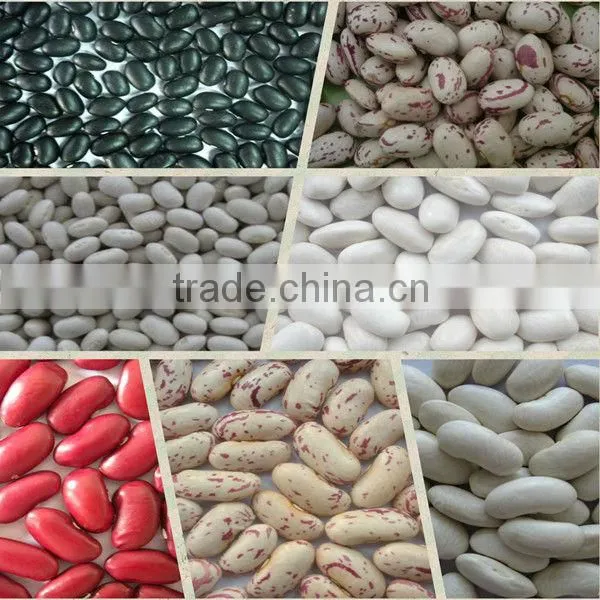Chinese Wholesale Dried Style Roasted Buckwheat Kernel
