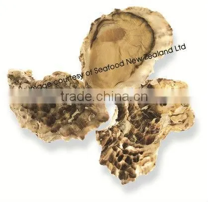 Live New Zealand Pacific Oyster