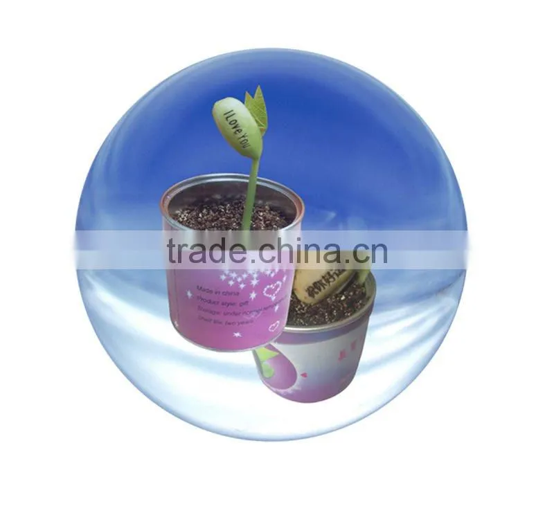 mini canned plant