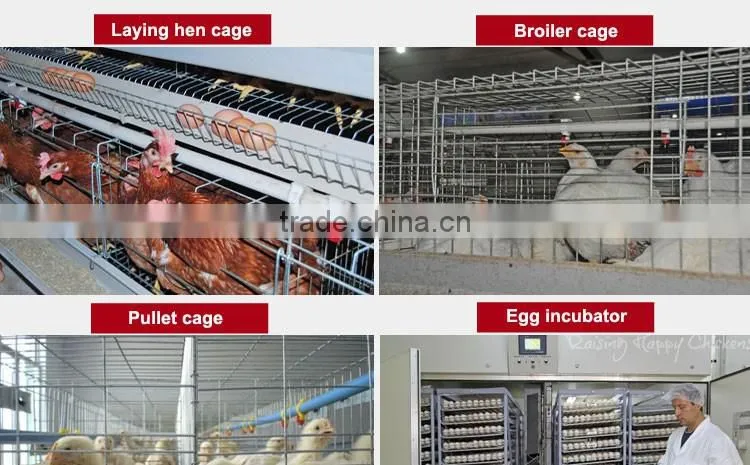 CHINA sales promotion 80 dollars this month chicken coop supplies