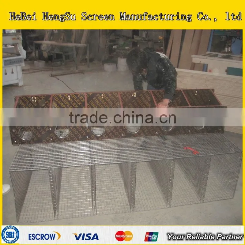 Welded Wire Mesh Mink Cage