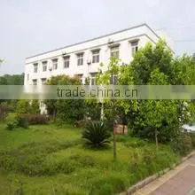 Chongqing TT International Trading Co., Ltd. company overview - view 1