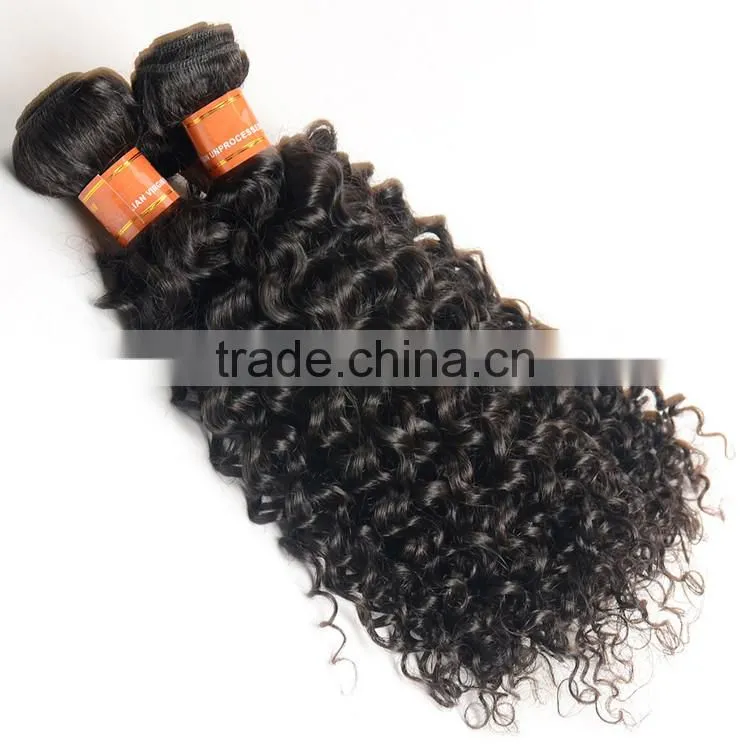 7A Grade Unprocessed Virgin Malaysian Curly Hair