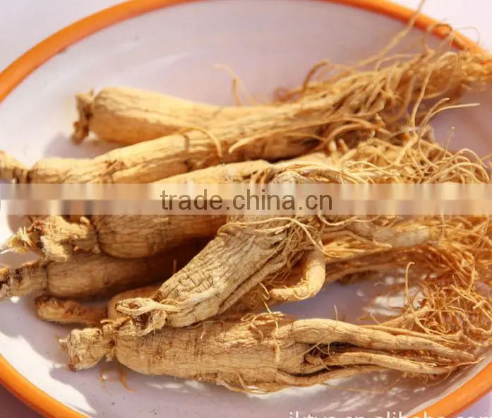 White ginseng, jilin ginseng, hot sell ginseng