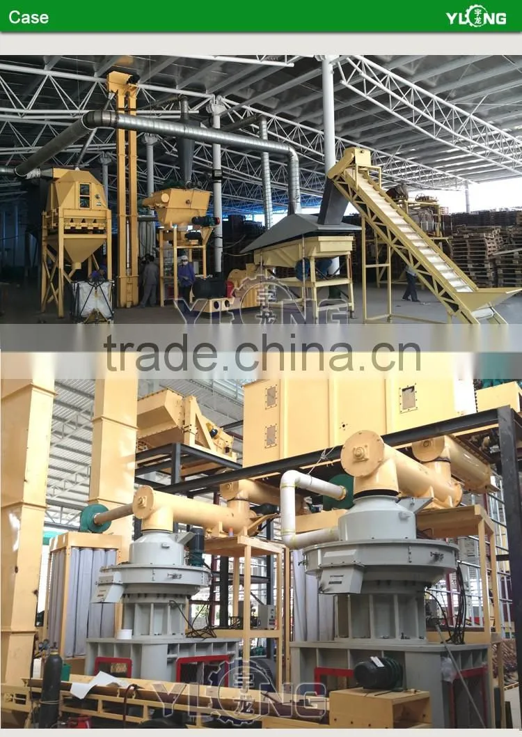 China 2.5-3T/H Biomass Wood Pellet Plant