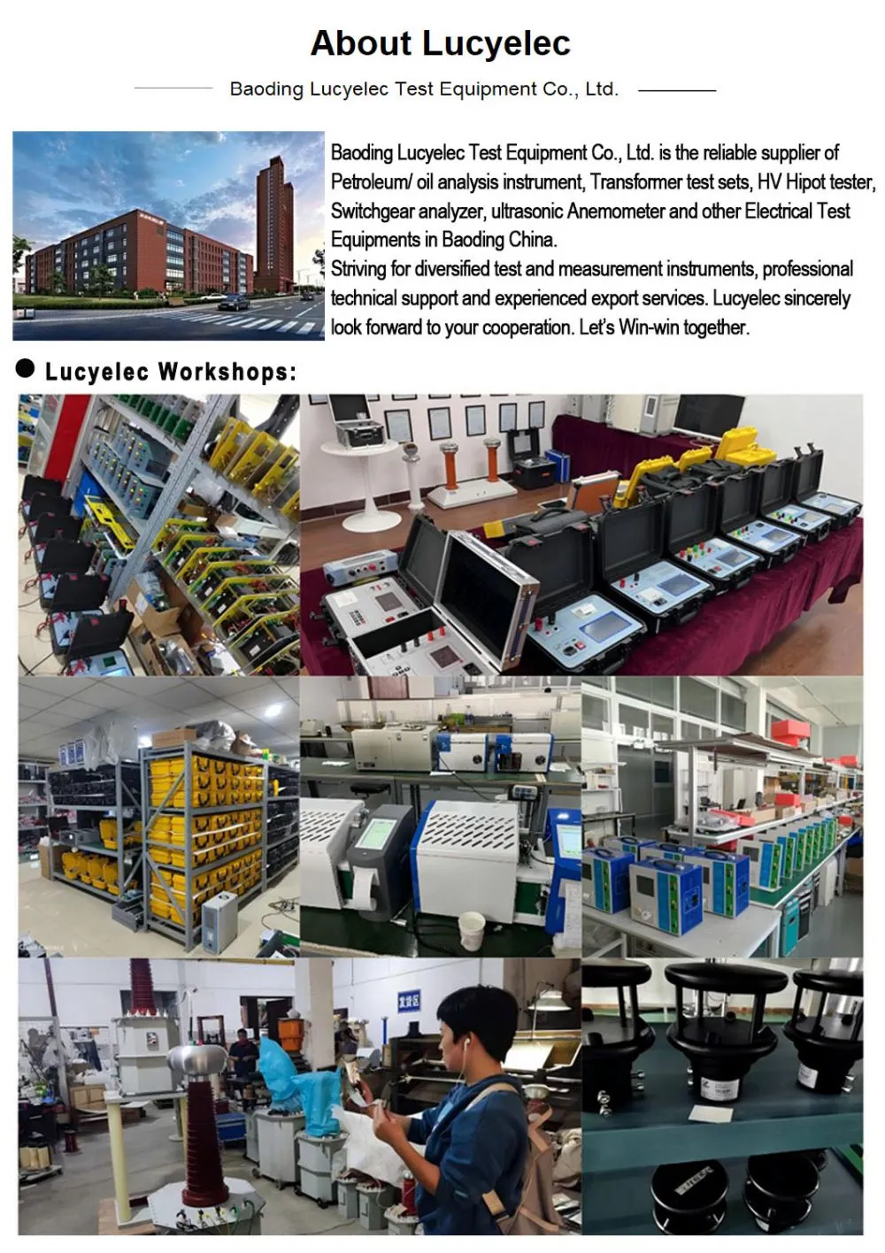 Lucyelec company introduction.jpg.webp