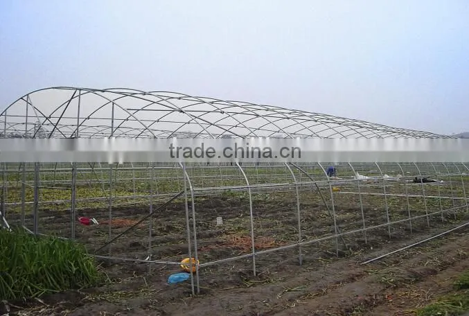 economical plastic tunnel greenhouse