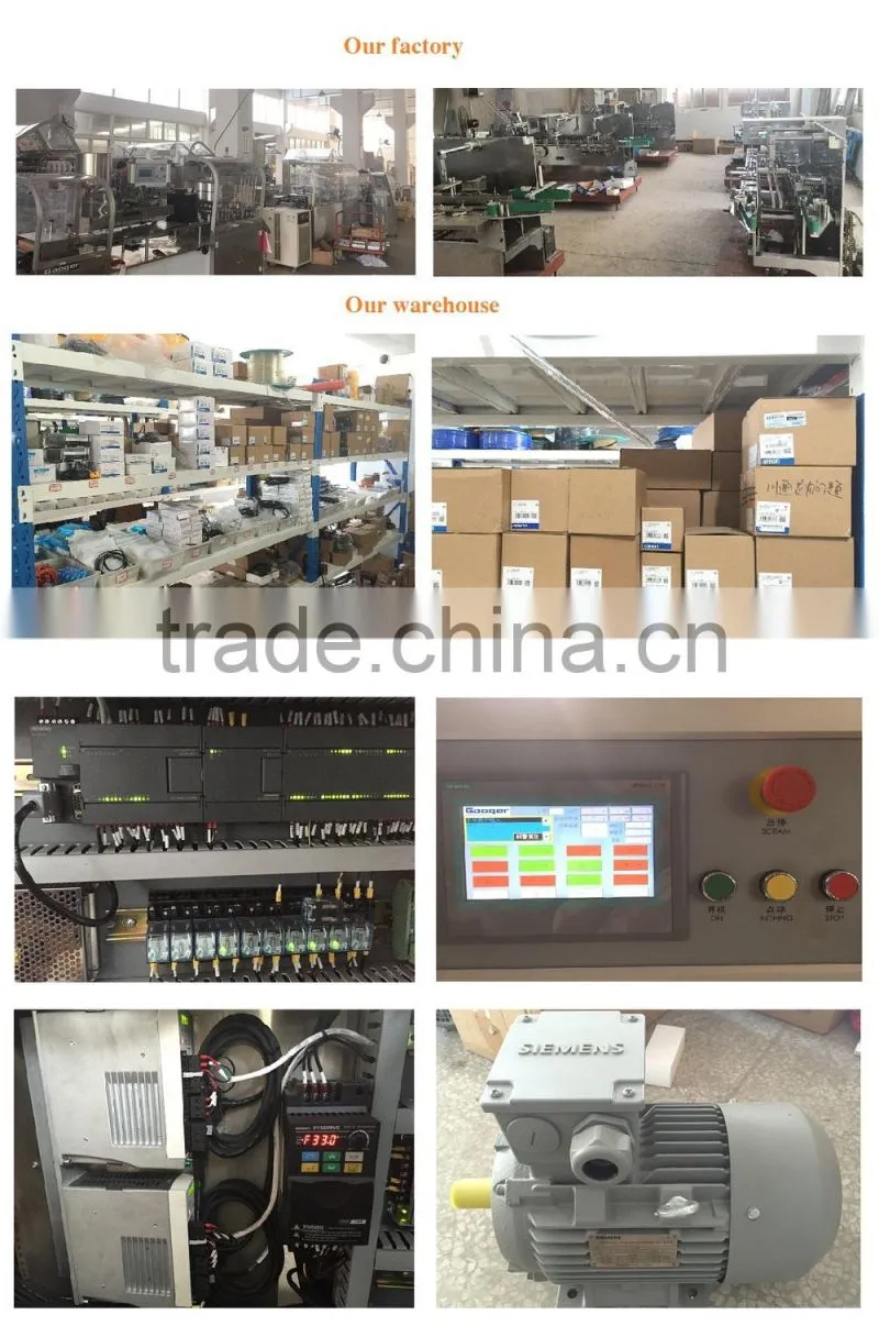 ZHB-100 Bottle Cartoner