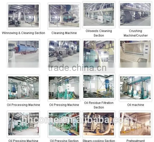 China Hot sale Biodiesel b100 Making Machine Price With Patent