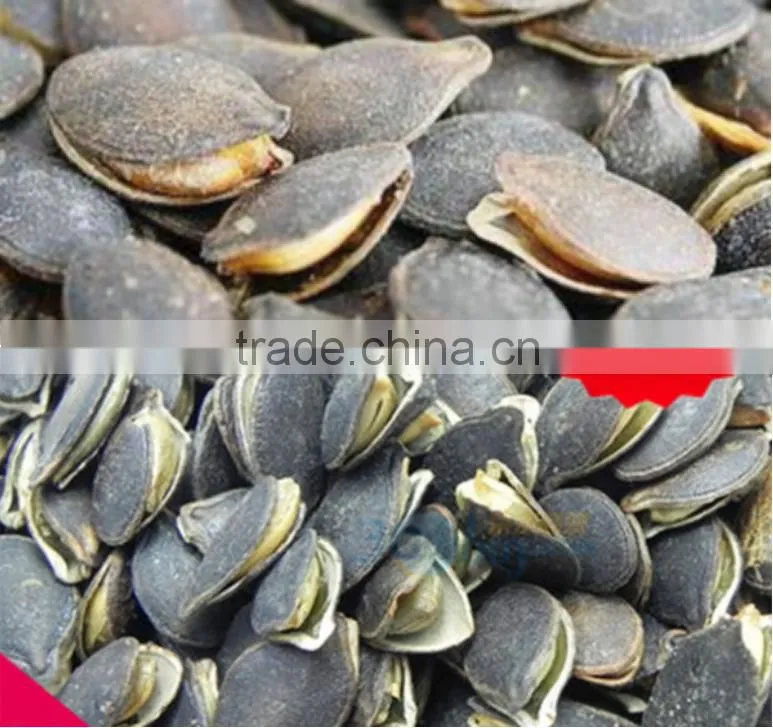 chestnut Pine Nut Opener equipment,Filbert nut opening machine,Walnut opening machine