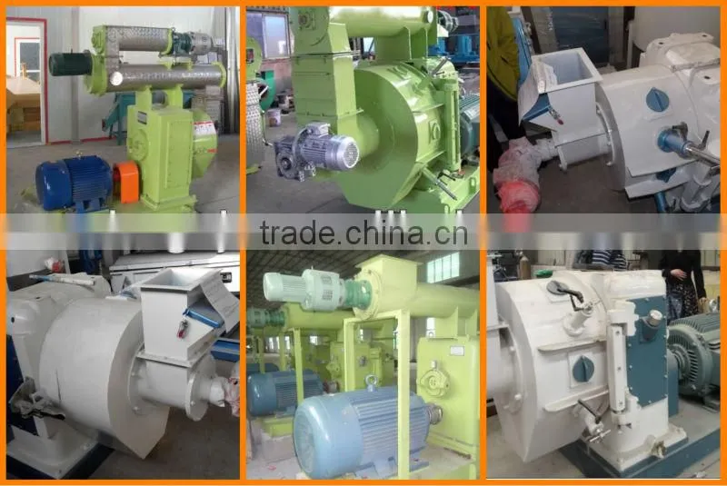 Factory Supply Pellet Mill Machine 5 Ton Per Hour