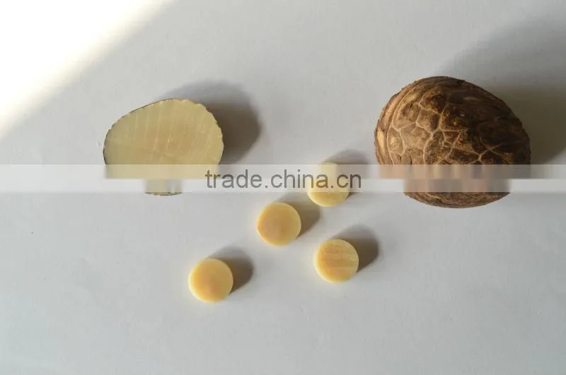 Real Natural Corozo button for coat
