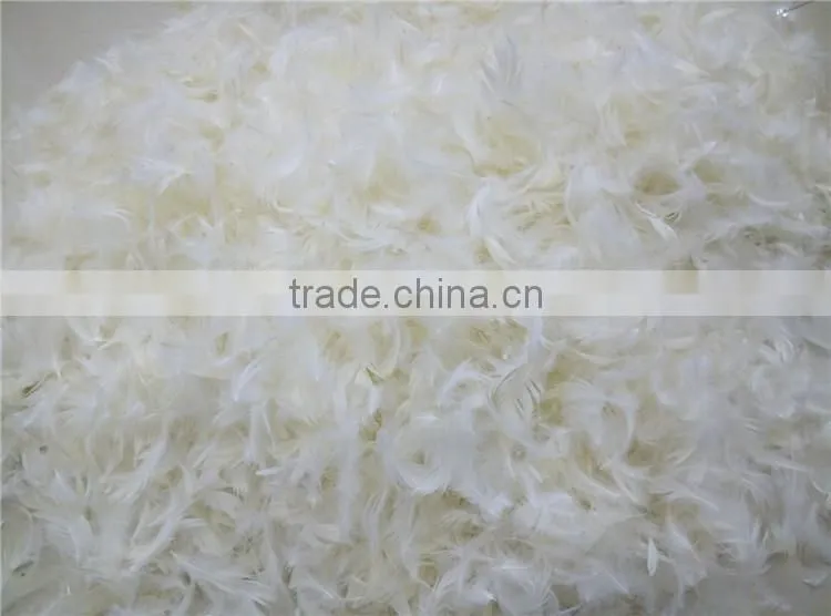 2-4cm washed white goose feather