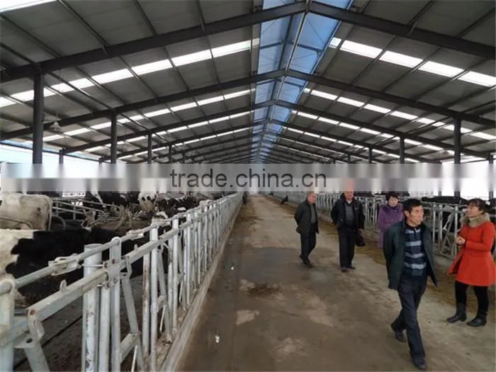 Large / Long span Prefabricated Steel Structure Poultry / Lifestock Buildings