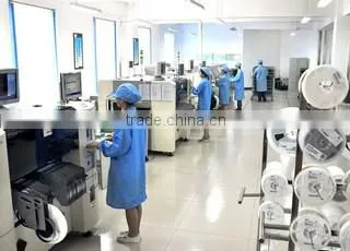 Libaijia Electric Technology Co., Ltd. company overview - view 2