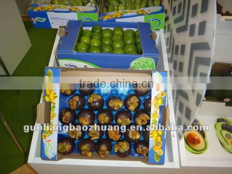 Disposable Protection PP Fruit Tray
