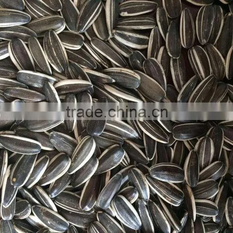 sunflower seeds 3638