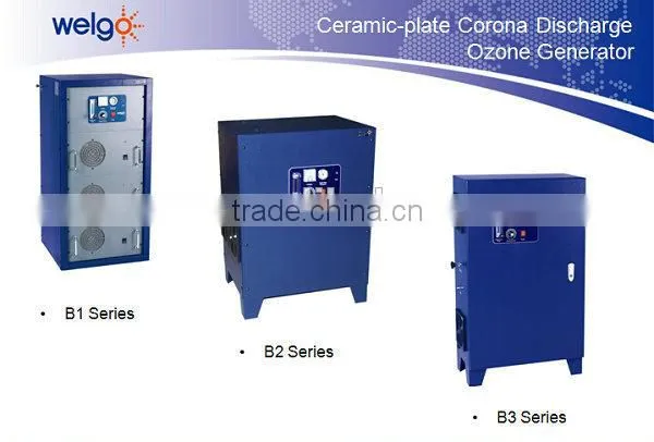 185nm Ultraviolet Lamp Ozone Generators for Swimming pool SPA