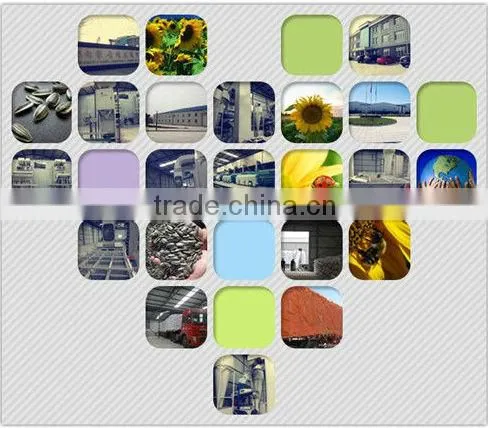 order Yummy Food supply cheap large confection bulk chinese sunflower seeds