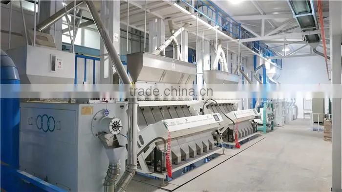 2015With Good Manufacturer Roasted Buckwheat Kernel