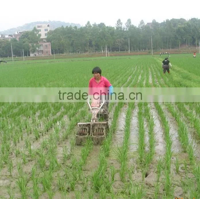 small weeder for paddy field