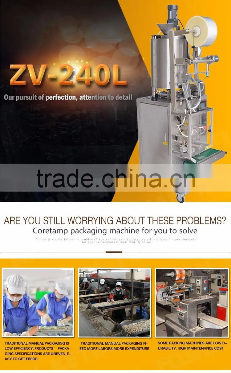 Liquid Packing Machine for Garlic Paste