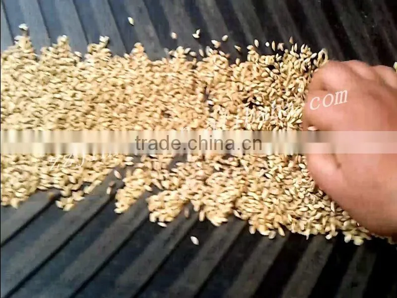 10 Ton Batch Grain Dryer