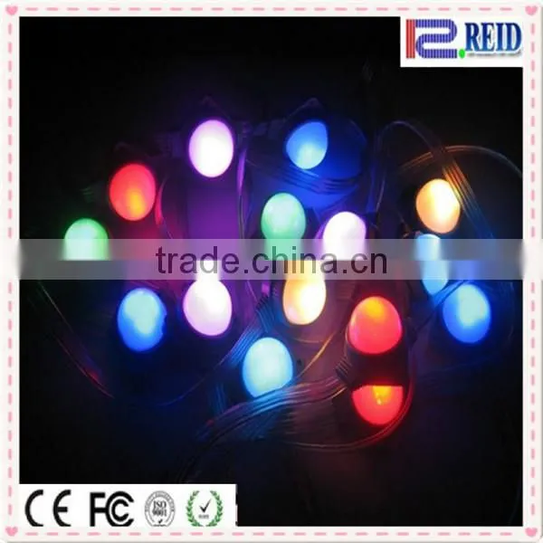 CE RoHS DVI/DMX waterproof module point light source rgb pixel led