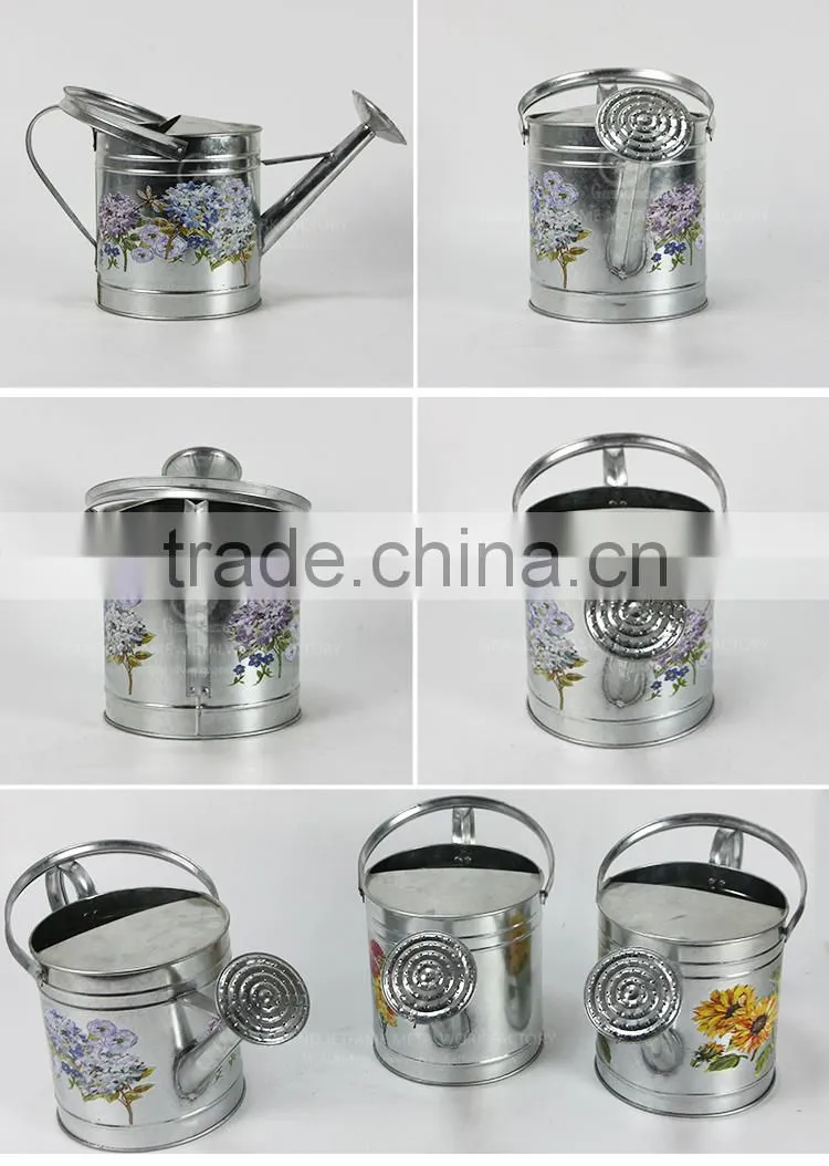 galvanized stickers water garden for flowers best watering can