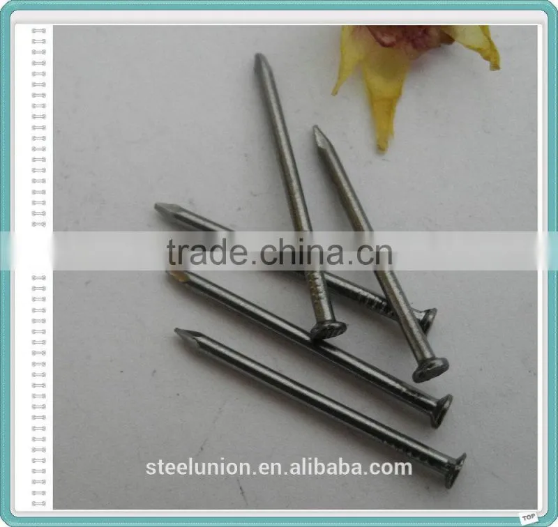 Polished Common Nails Suppliers/Common Iron Nail