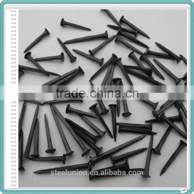 Blue Shoe Tack Nails Factory
