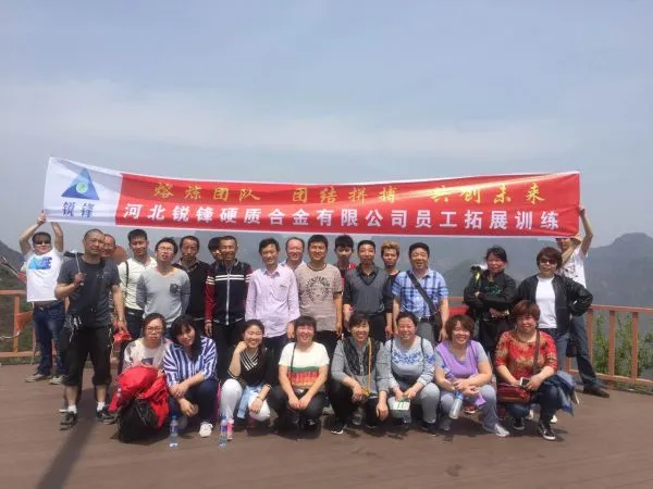 Hebei RuiFeng Cemented Carbide Co.,ltd company overview - view 2