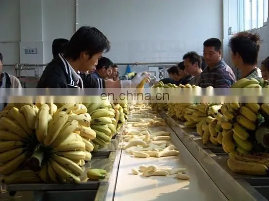 full plant plantain banana powder making machines