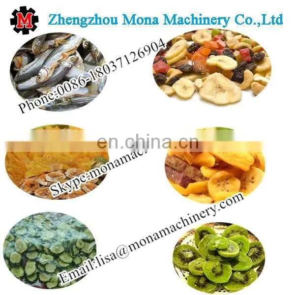 Prunes Multiple layer continuous type mesh belt dryer
