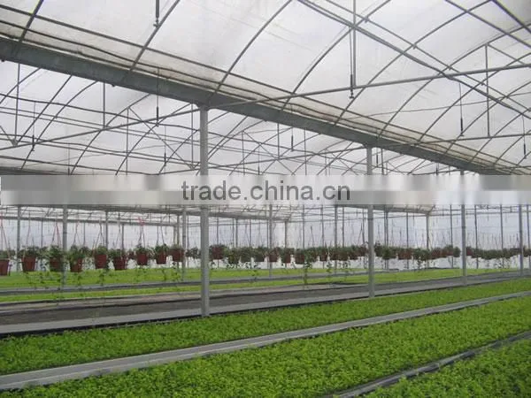 greenhouse for vegetable used