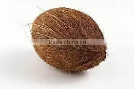 fresh mature coconut