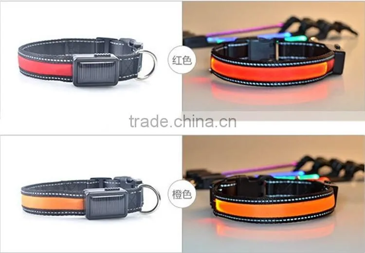 Led USB Rechargeable Dog Collars Led Pet Collars Protect your Pets in Dark