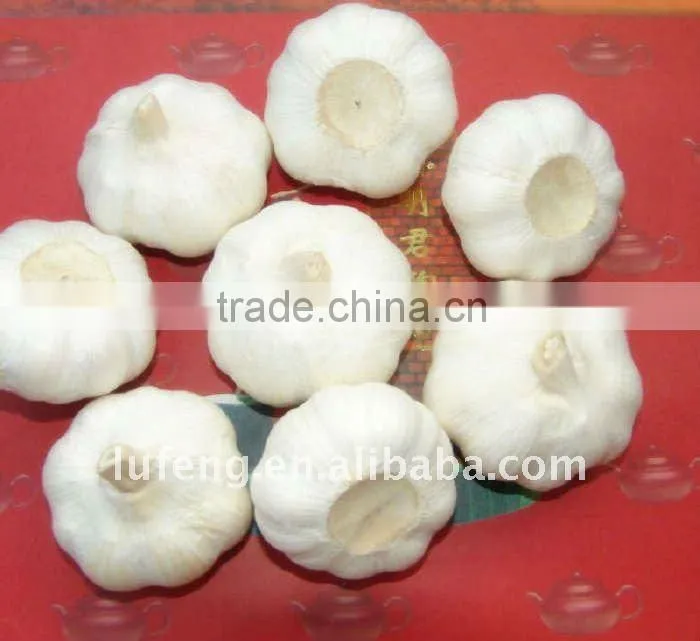 Chinese White Frozen Garlic