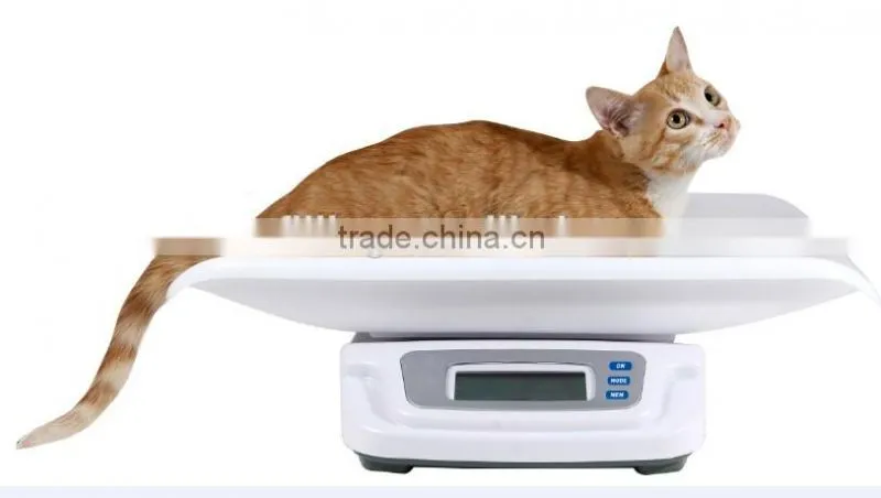Cat scale Feline Scale Pet Scale