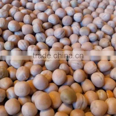 YELLOW PEAS