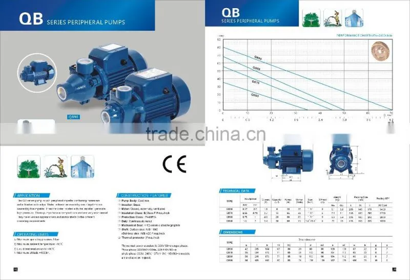 500W QB60 Peripheral Pump