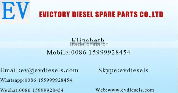 8-97176868-0 ring set, piston C190 C221 Piston kit for forklift and excavator