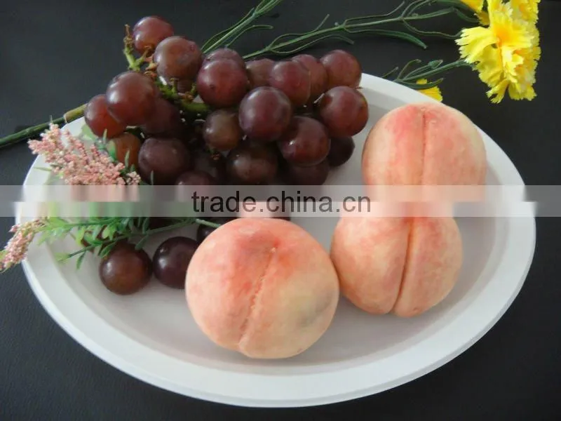 Biodegradable tapioca tableware, disposable plastic plate/dish