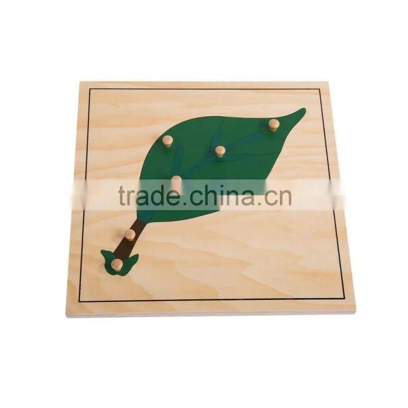 Montessori botany series educational product for leaf puzzle
