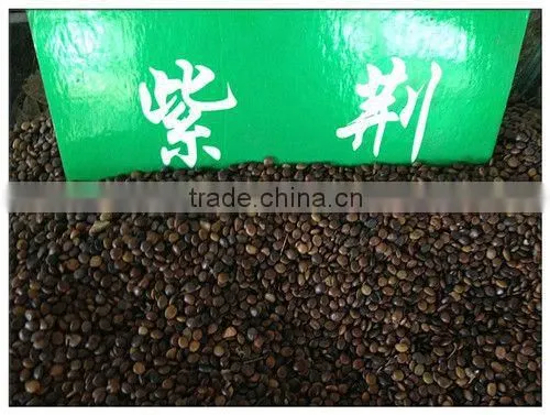 2016 High Germination Rate Chinese Redbud Seeds For Planting