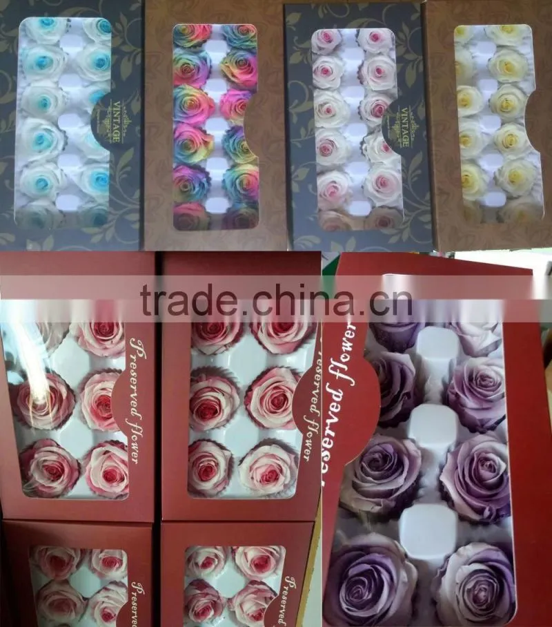 Natural preserved fresh rose wholesal flower Multi colored Preserved Roses