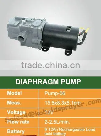 (Pump-06) KOBOLD 12V diaphragm pump,agriculture battery sprayer pump