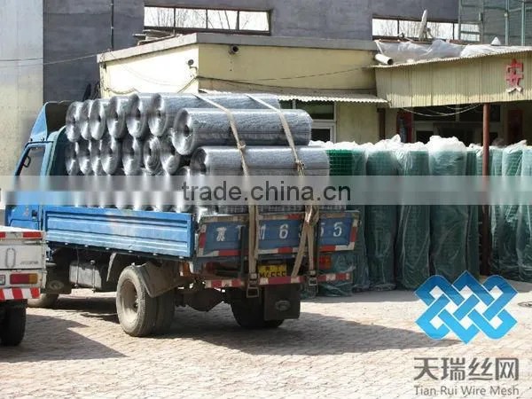 PVC Coated Holland Wire Mesh Fence Manufacturer&Exporter