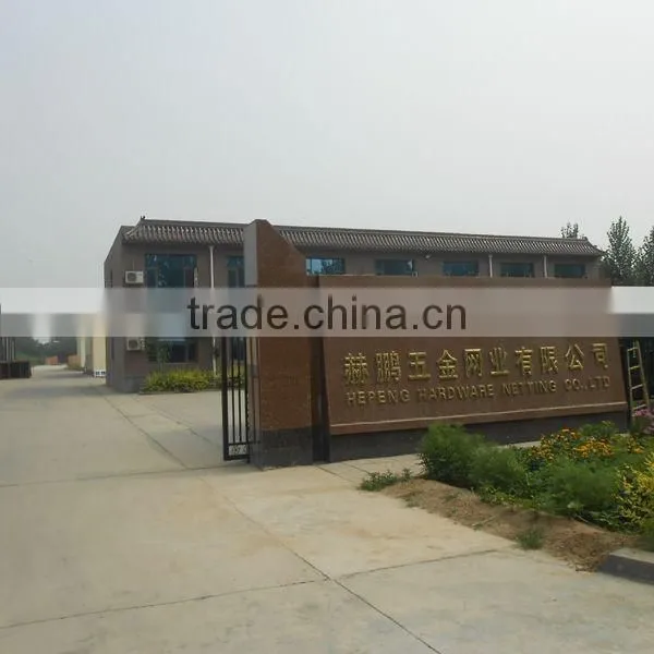 8/6/8mm Double Wire Fence(professional manufacturer)